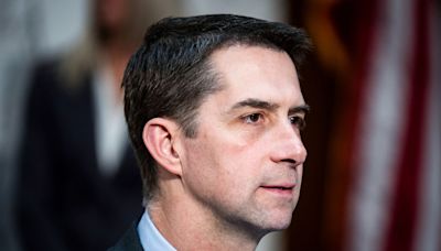 GOP Sen. Tom Cotton says he will accept 2024 election results