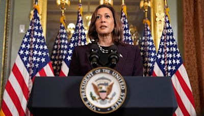 Kamala Harris' foreign policy chops questioned: What has she done, where has she been?