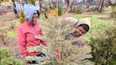 Local nonprofit aims to plant Detroit's first-ever forest of giant sequoia trees - WDET 101.9 FM