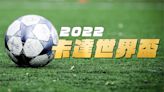 世足／阿根廷對荷蘭創紀錄「18張黃牌」FIFA展開調查 梅西恐遭禁賽