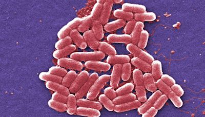 Legal action started against Tesco and Asda over E. coli outbreak