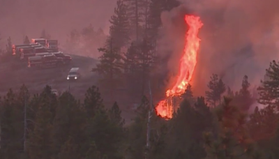 Crozier Fire forces closure of Northern California forest as flames continue to burn aggressively