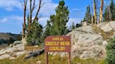 Grizzly killed hiker near Yellowstone, officials say. Then it broke into home for food