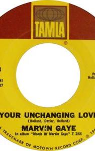 Your Unchanging Love