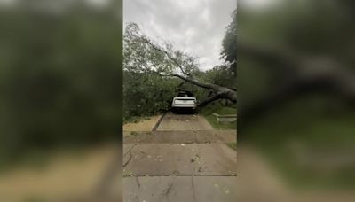 Dallas weather: Storms leave trail of damage in North Texas