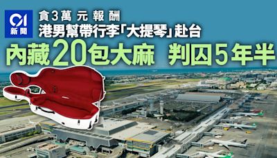 港男貪3萬港幣幫帶行李「大提琴」抵台 查獲20包大麻坐牢5年半