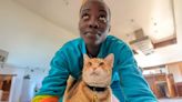 Yoyo, el gato naranja que le salvó la vida a Lupita Nyong’o