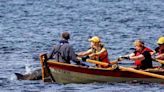 PICTURES: Nairn rowers have fin-tastic time with dolphin encounter