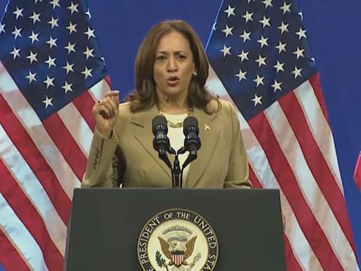 Quién es Kamala Harris, la candidata demócrata que podría hacer historia en EEUU