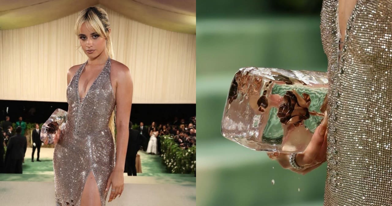 Did Camila Cabello's Met Gala ice purse cost $25,000? Singer reveals