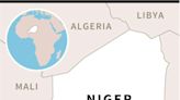 Niger to set up protection force for 'strategic' sites