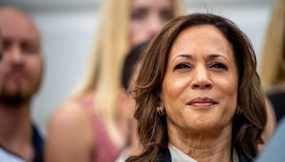 Democratic delegates swiftly give Harris enough support to clinch presidential nomination