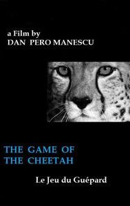 The Game of the Cheetah | Mystery