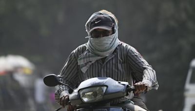 Delhi records best air quality of the year with AQI at 56