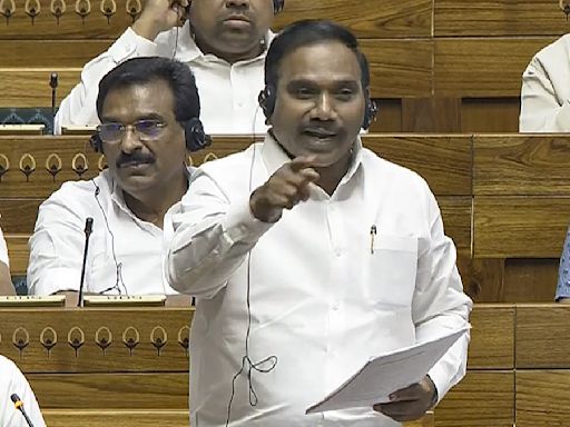 DMK MP A Raja Says Prime Minister Doesn't Have Spine To Answer Opposition's Questions