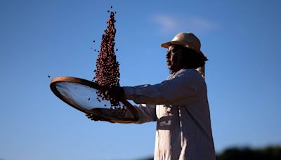 FMI melhora projeção de crescimento do Brasil em 2025 para 2,4%