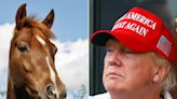 Donald Trump once tried to pay off $2 million in lawyers' fees with a horse: book