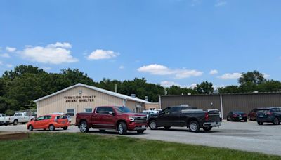 Community comes together to help keep animals cool