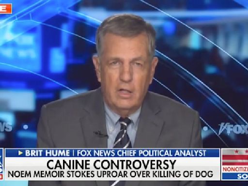 ‘Not Normal Behavior’: Fox’s Brit Hume Vexed by Kristi Noem’s Decision to Shoot Dog and Include in Book