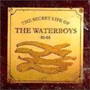 Secret Life of the Waterboys 81-85