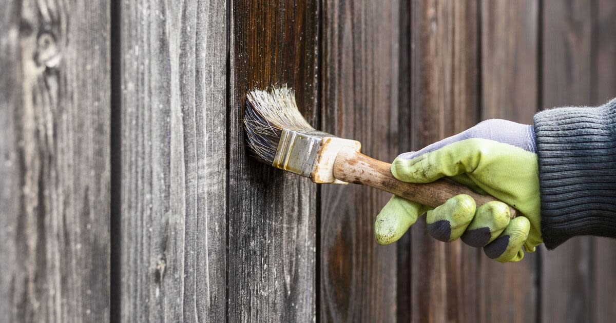 You're painting fences wrong – mistake costs hundreds fix