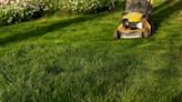 When Is The Best Time Of Day To Mow Your Lawn? An Expert Weighs In