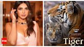 Priyanka Chopra announces new film 'Tiger': I had so much fun lending my voice to this incredible story | - Times of India