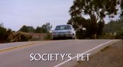 9. Society's Pet