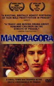Mandragora (film)