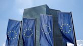 ECB told not to take banks' word for it when assessing risk