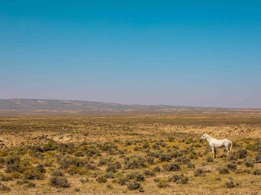 This Colorado County Is Home to Wild Horses and Canyons With Dinosaur Tracks — Here’s How to Explore It