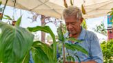 Hurricane Ian took Southwest Florida’s mangoes. People still celebrated the mango festival.