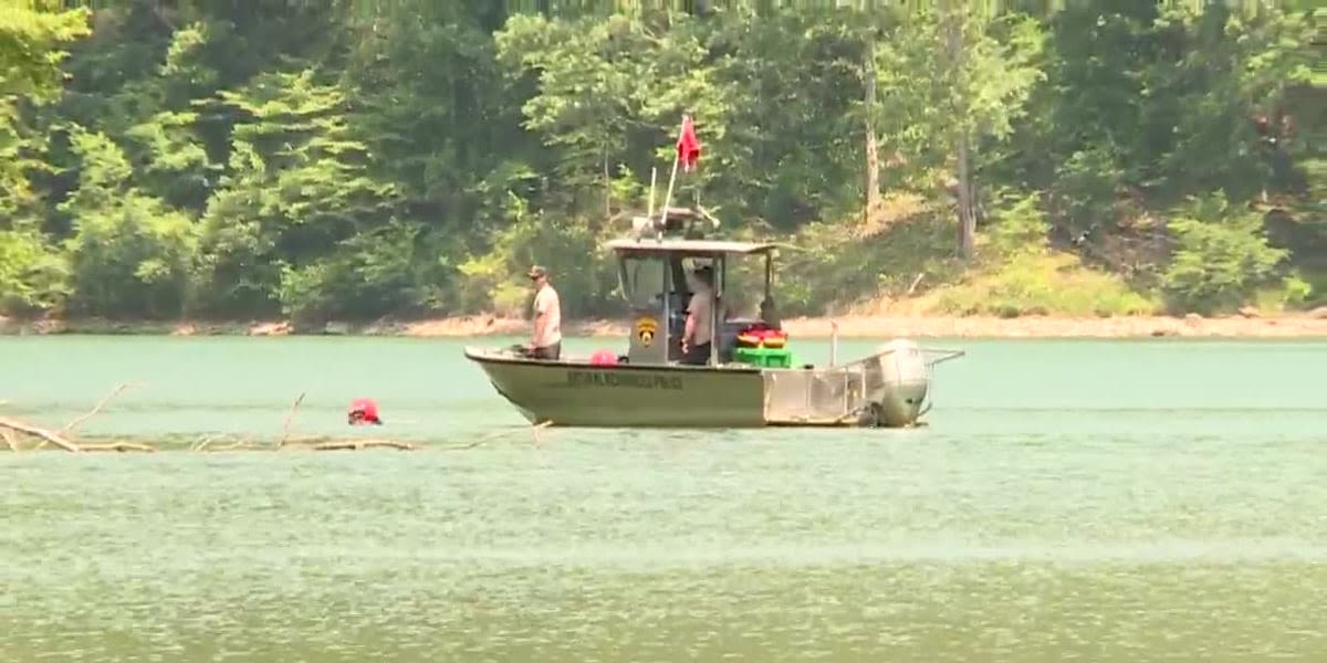 Father goes missing in lake after he rescued his struggling child from the water
