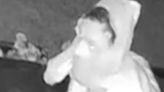 Jewellery stolen from house in middle of the night as police release CCTV