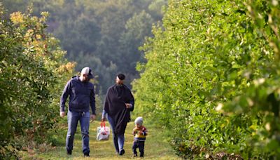 More than 100 things to do in North Jersey this fall, from leaf peeping to apple picking