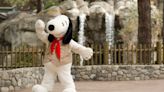 Knott’s Berry Farm adding new rides and more during Camp Snoopy renovation