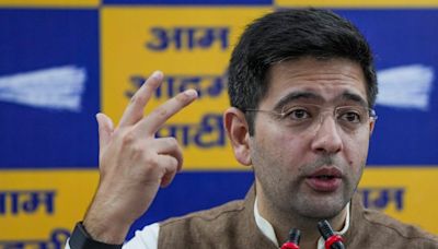 'Must Be Regretting Leaving Me': AAP’s Raghav Chadha Roasts Congress Over Haryana Poll Loss - News18