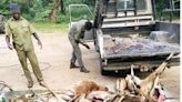 Starving villagers invade wildlife area in southern Zimbabwe