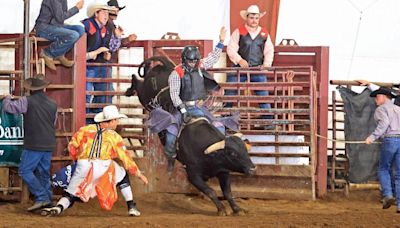 Montana Western, Polson cowboy Gavin Knutson drafted by PBR Teams' Nashville Stampede