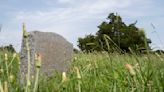 Care for historic Black cemeteries in Hampton Roads depends on the locality. But city support can make a difference.