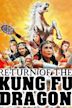 Return of the Kung Fu Dragon