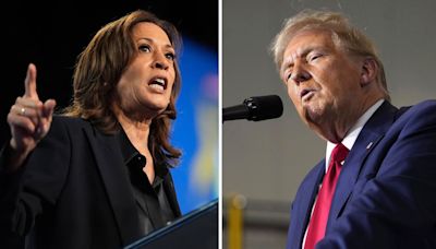 US Presidential Elections 2024: Trump leads Harris by narrow margin in THESE key swing states, poll shows | Today News