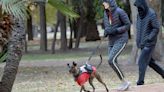 Madrugada bajo cero y heladas generales: así estará el tiempo para este sábado en Mendoza | Sociedad