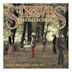 Recollection (Strawbs album)