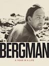 Bergman: A Year in a Life