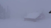 White Pass Ski Area, Washington, Forced To Close By "Blizzard Conditions"