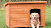 Yes, Wayfair sells outdoor dog houses and chicken coops