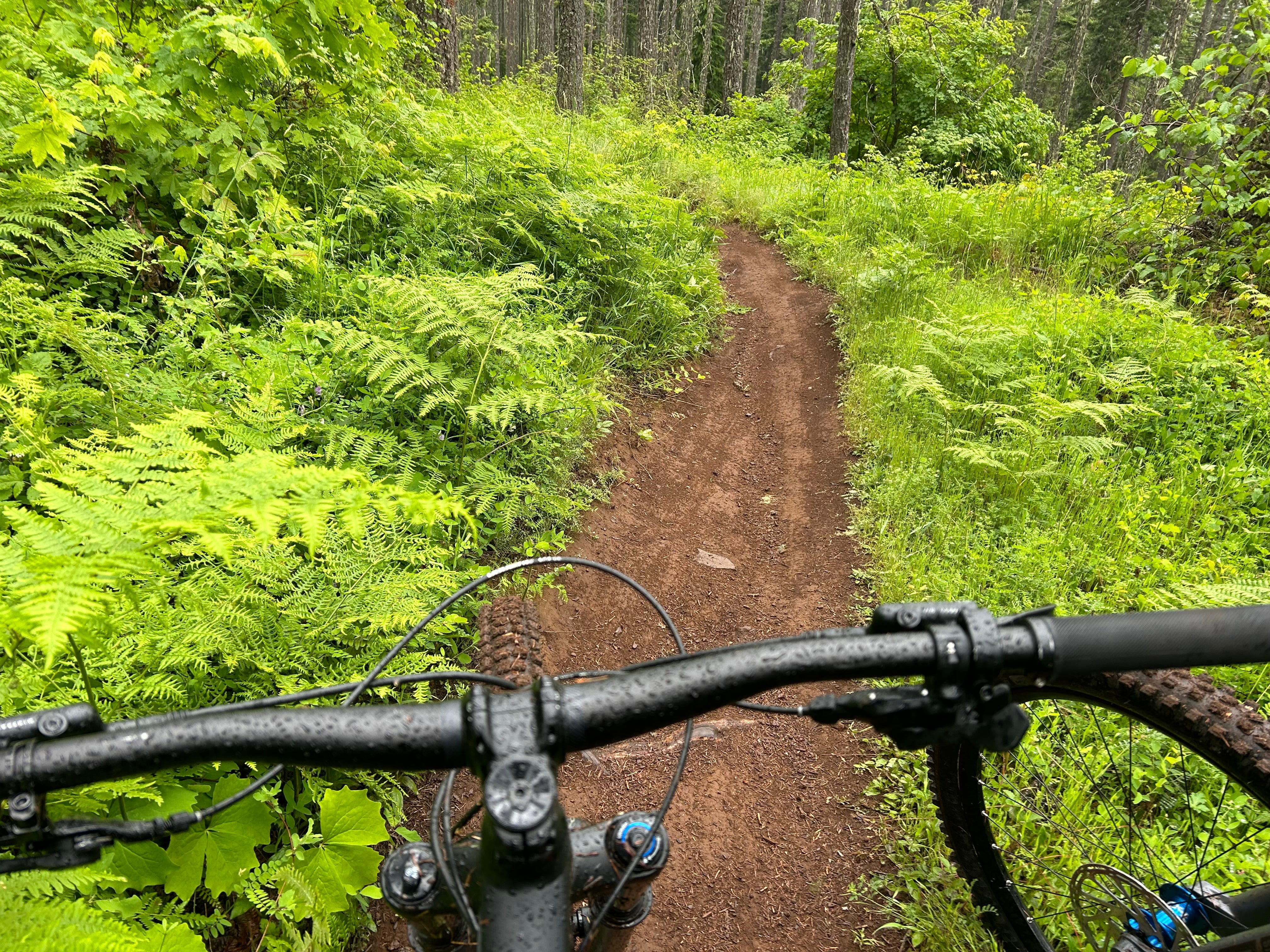 Despite scary name, Dead Mountain offers classic Oregon riding between Eugene and Bend