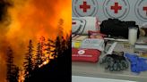 How prepared are you for a wildfire? 3 critical ways you can get ready | Globalnews.ca