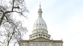 Local senators split on gun safety measures that passed Michigan Senate